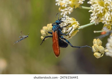 太阳城平台的用户评价与真实体验分享 太阳城平台的用户评价与真实体验分享