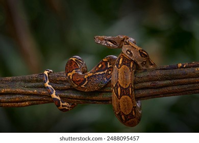 太阳城集团平台的安全性与用户体验深度解析 太阳城集团平台的安全性与用户体验深度解析