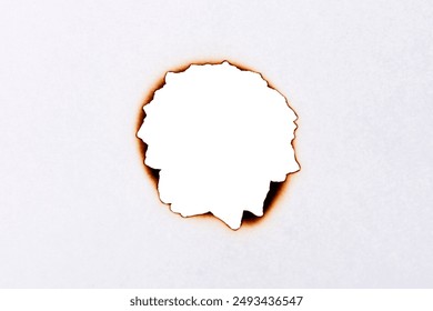 天地无限娱乐带你领略多元文化的精彩与魅力 天地无限娱乐带你领略多元文化的精彩与魅力