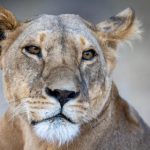 大西洋城娱乐活动推荐:让你玩转这个迷人的海滨城市 4y5akv