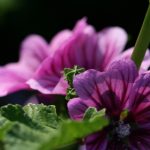 大赢家比分平台的优势:让你轻松掌握体育赛事动态 9f3x1o2