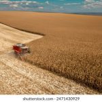 大西洋城赌场周边旅游景点推荐,玩乐不止于此 d70ft8