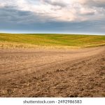 大赢家足球比分平台:足球爱好者的必备工具与资源 evg1bj75mm