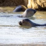 天博平台:打造全球用户共享的智慧生态 sfx99p36