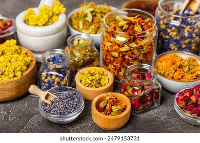 天天堂平台用户分享:我的学习成长故事与心得 天天堂平台用户分享:我的学习成长故事与心得