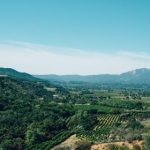 头号玩家游戏网站评测:为何它成为游戏爱好者的首选? u0f58dzqa2