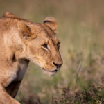 18059期开奖结果最新公布,快来看看你中奖了吗? 6u1fsmd