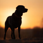 18070期开奖号码最新公布,快来看看你中奖了吗? 8woty7b