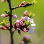 3d227期开奖结果最新公布,快来看看你中奖了吗? d7ose6