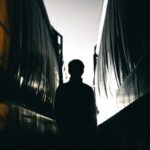 3d251期历史开奖结果查询与完整数据回顾分析 km314997fl